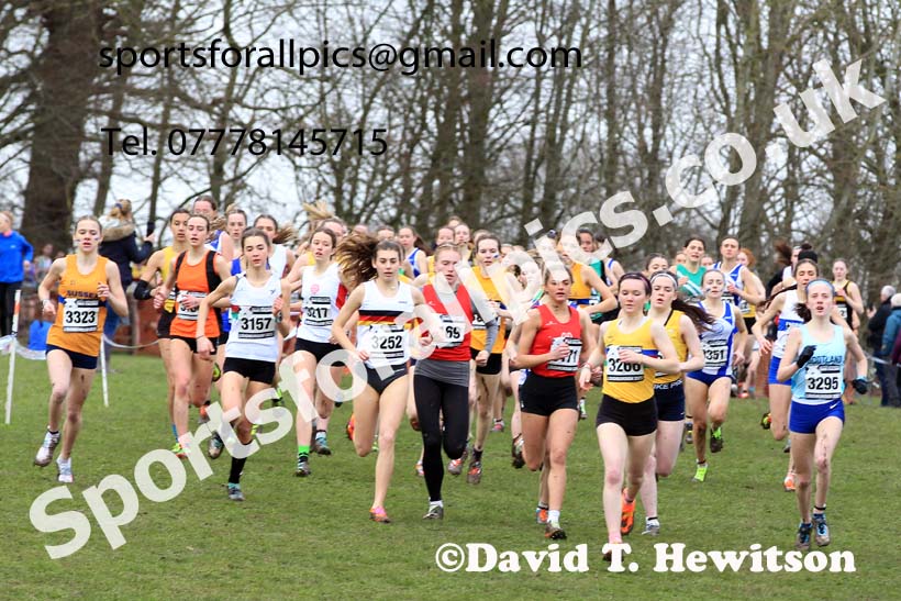 Womens Under-20s 2023 UK CAU Inter Counties Cross Country Champs, Prestwold Hall, Loughborough. Photo: David T. Hewitson/Sports for All Pics